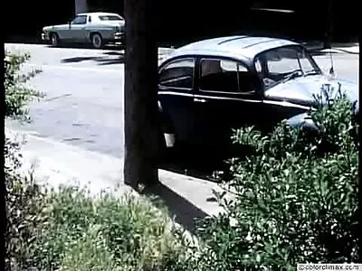 ג'נטלמן חסר סקס חינם תותה יומרות מזיין עם בחורה ביער.