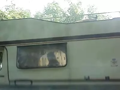 ילדה שמנה גומרת בזעם מהזין תותה סרטי סקס חינם של חבריה החדשים.