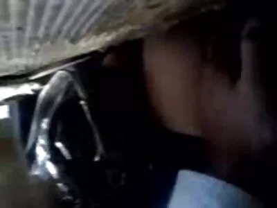 כלבה נחמדה מכניסה סקסאטרף רצועה לחברתה.